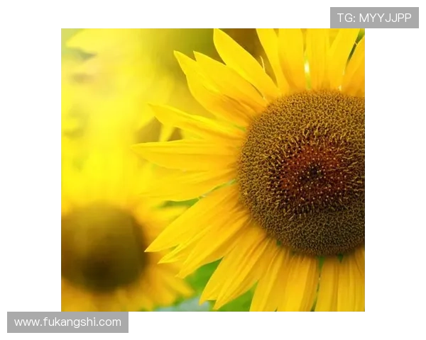 凯发网投优惠活动不断更新，如何利用优惠提升游戏体验与收益