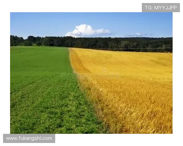 凯发正规下载引领行业新标准，打造绿色安全的线上娱乐环境